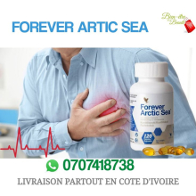 Artic-Sea 
