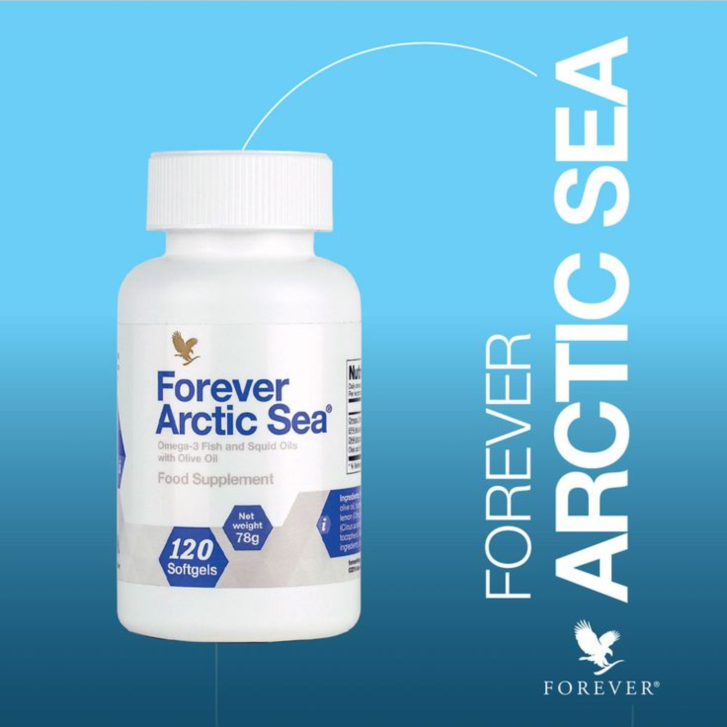Artic-Sea 