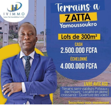 Terrains à vendre à Yamoussoukro-Zatta 