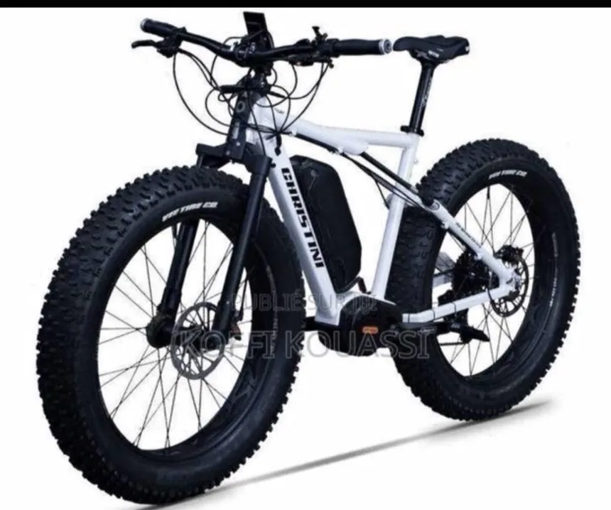 Vélo électrique 