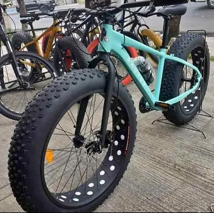 Vélo électrique 