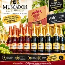 Vin muscador