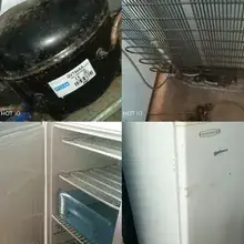 Frigo
