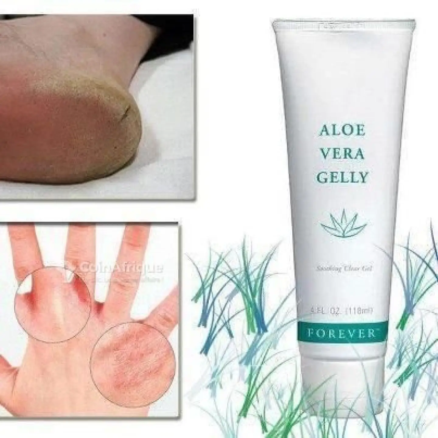 ALOE VERA GellY